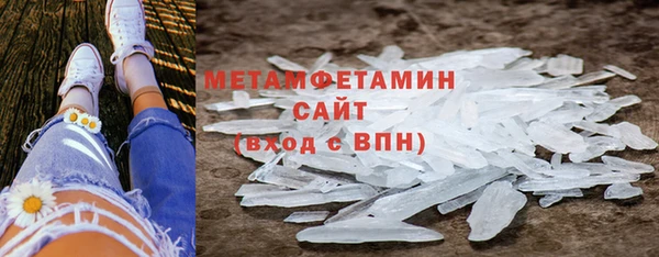 сатива Балахна