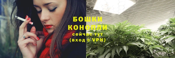 сатива Балахна